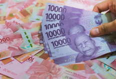 Wealthyguard Com Penghasil Uang Terbaik 2024, Login Buat Investasi Langsung Cair Rp15 Juta Per Akun