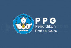 Info Terbaru Jadwal PPG Daljab November 2024 Kini Tidak Perlu NUPTK dan Pemberkasan Dilakukan Via SIMPKB