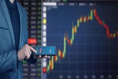  Jenis Lot Pada Trading Forex yang Perlu Diketahui Para Traders, Yang Mau Banyak Cuan Sini Merapat!