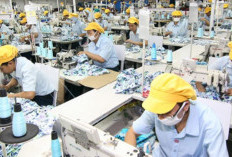 Kabar PT Gelindo Garmentama Terbaru Apakah Penipuan? Jangan Asbun! Ternyata Ini Fakta Sebenarnya