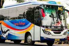 Cara Mencari Agen Bus Sugeng Rahayu Terdekat dan Tips Memilih Agen Terpercaya!