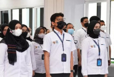 Info Lowongan Kerja BUMN November 2023 PT Sucofindo Begini Jobdesk dan Cara Daftarnya 