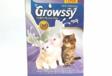 Harga Susu Growssy Sachet untuk Kucing Terbaru 2023, Bisa Kamu Beli di Petshop Terdekat!
