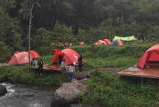 Gubug Marawati: Lokasi, Harga Tiket, dan Fasilitas Camping Persawahan Sajen Pacet