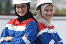 Kumpulan Soal-Soal Tes Smart Ability To Learn Pertamina Lengkap Dengan Kunci Jawabannya Terbaru