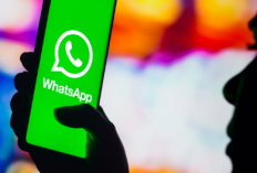 Cara Memperbarui WhatsApp yang Kadaluarsa Khusus Android Tahun 2023, Wajib Update Agar Akun Tidak Kena Hack!