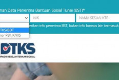 Cara Cek DTKS Siswa Tahun 2023, Sangat Mudah! Tinggal Cek Lewat HP Saja