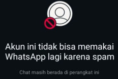 Viral WhatsApp Pengguna Indonesia Diserbu Spam Nomor Brasil (+55) Ramai di Thread, Ini Penyebab dan Cara Mencegahnya!