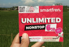 Apakah Smartfren Gangguan Hari Ini? Cek Jaringannya Pakai Cara Ini: Catat Ya! 