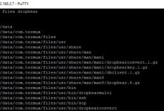Cara Belajar Termux 2024 Untuk Pemula, Cek Kode Perintah dan Tutorial yang Bisa Diikuti dengan Mudah!