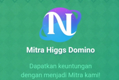 Daftar Alat Mitra Higgs Domino Island Resmi, Begini Cara Mudah Jadi Agennya!