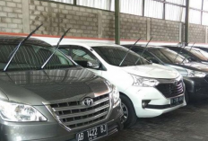 Jasa Rental Mobil Sentani Jayapura : Tarif, Alamat Lengkap, Fasilitas Hingga Rute Perjalanan