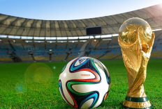 Info Nobar Final Piala Dunia 2022 di Bandung: Alamat Lokasi, Harga Tiket, dan Fasilitas