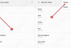 Settingan APN Internet XL AXIS Terbaru 2024, Koneksi Jaringan Internetan Jadi Makin Lancar dan Cepat!