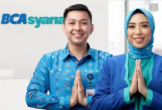 Loker BCA Syariah Oktober 2023 Untuk Semua Jurusan Mulai dari Lulusan SMA, D3, S1, Hingga S2