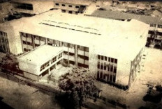 Heboh! Bunker Rahasia Ditemukan di Lokasi 995 Senjata Senpi Tersimpan, Polisi Diminta Bongkar Isinya