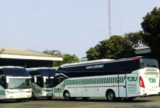 Jadwal Bus Majalengka Cikarang Terbaru 2023, Tarif Mulai dari Rp25 Ribuan Aja