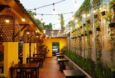 Daftar Cabang Restoran Mevui Vietnam Kitchen Bali 2023, Lengkap Jam Operasional dan Menu Andalan Berikut Ini!