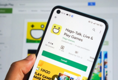 Apa Bisa Dapat 1 Juta Perhari Cuma Main Game Doang? Bisa Dong! Pakai Apk Game Berikut, Terbukti Cair No Fake