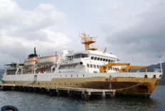 Harga Tiket Kapal Laut Labuan Bajo-Makassar Februari 2023, Lengkap dengan Jadwalnya