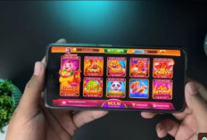 Anti Boncos! Catat Cara Top Up Chip Ungu Higgs Domino Terbaru Dan Termurah Depo 50K Bisa Spin Sampai Ratusan 