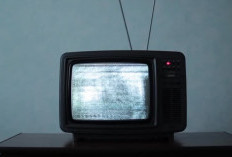 5 Penyebab dan Solusi TV yang Tidak Ada Gambarnya Tapi Ada Suaranya