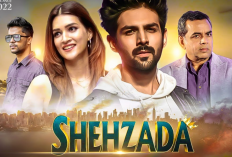 Jadwal Tayang Film Shehzada (2023) Diagendakan Siap Hibur Kamu Pada 10 Februari Mendatang 