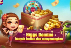 Rahasia Leon Untuk Ubah Sistem Higgs Domino, Mulai Dari Pahami Pola Agar Dapatkan Superwin!