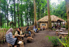 Tempat Nongkrong di Lumajang Paling Keren, Hadirkan Suasana Alam dengan Pemandangan Menawan 