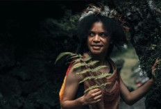 Kembali Dicanangkan! Wacana Pemekaran Wilayah Papua Siapkan 7 Daerah yang Ditarget Bawa Pemerataan dan Kemajuan 
