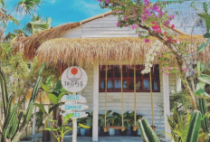 Lokasi Tropis UMS Cafe Solo Lengkap Dengan Jam Operasional Beserta Harga Menunya yang Paling Recommended 