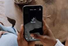 FYP TikTok Fbruari 2024 Terbaru Lagi Rame Soal Pemilu, Cek di Sini Jadwal Upload Biar Dapat Banyak Views