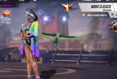Aktif! NenaGamer FF Bagi-bagi Akun Free Fire Sultan 2024 Impian Para Player, Rebutan Siapa Cepat Dia Dapat!