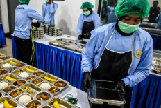 Contoh Surat Lamaran Kerja MBG 2025 yang Benar dan Menarik Perhatian HRD, Auto Langsung Diterima Kerja!