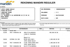 Bagaimana Cara Edit Rekening Koran Bank Mandiri? Ternyata Mudah Banget! Praktis Buat Pemula 