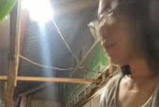 Geger! Video Panas Penjual Nasi Kuning Lelilef Viral TikTok, Bikin Pelanggan Ketagihan, Berminat Coba?