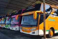 Rekomendasi Bus & Travel Semarang Purworejo PP, Lihat Jadwal dan Harga Tiketnya Terbaru 2023 Disini!