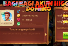 Kumpulan Akun Gratis Higgs Domino Level 5 Tanpa Verifikasi, Sudah Ada Chip Banyak Tinggal Main!