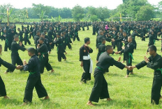 20 Daftar Lokasi Latihan PSHT Terdekat dari Lokasi Saya Di Indonesia, Apakah Ada di Daerahmu ?