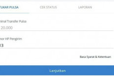 Hoax atau Fakta! Sistem Keagenan Indonesia Apakah Penipuan? Simak Honest Review Berikut Ini