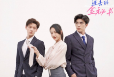 Nonton Drama China Kim Secretary (Jin Secretary) 2023 Sub Indo Full Episode 1-33, Pura-Pura Jadi Saudara Kembar Demi Mengusut Kasus