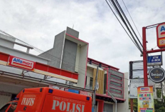 DC Alfamart Branch Madiun dan Serba Serbinya : Alamat Lengkap, Jam Operasional dan Profil