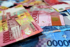 Bingung Cari Uang Tambahan? Coba Aplikasi Nonton Video Berbayar Bisa Kasih Rp 100 Ribu Per Hari, Saldo Langaung Masuk ke DANA