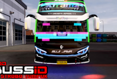 Download MOD BUSSID Full Strobo Animasi Gerak 2024, Tampilan Bus mu Makin Cantik dengan Warna Warni Menyala!