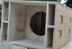 Skema Box Speaker 8 Inch Single, Suara Mid Lebih Lantang dan Ganas