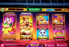 Update! Link Download Higgs Domino V2.23 MOD APK Terbaru 2024 Tanpa Password Unlimited Money + X8 Speeder Gratis