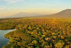 Mengenal Alas Purwo, Taman Nasional Di Ujung Tenggara Pulau Jawa