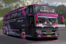 Download Telolet BussID V 3.6 1 Terbaru 2023 Full Strobo SHD & HD, Suara Klakson Kece Buat Pamer