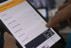 Lupa Password Sirekap? Begini Cara Reset Kata Sandi dengan Mudah, Jangan Panik! 