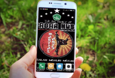 Download Wallpaper Pagar Nusa Full Tema, Bisa Langsung Unduh dan Pasang!